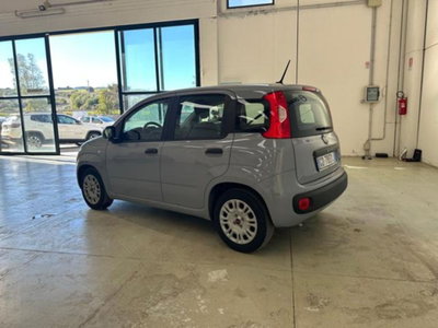 Fiat Panda 1.0 firefly hybrid s&s 70cv 5p.ti (4)
