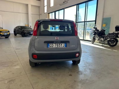 Fiat Panda 1.0 firefly hybrid s&s 70cv 5p.ti (5)
