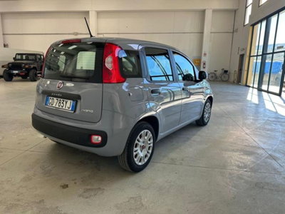 Fiat Panda 1.0 firefly hybrid s&s 70cv 5p.ti (6)