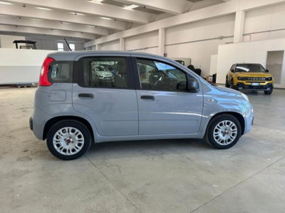 Fiat Panda 1.0 firefly hybrid s&s 70cv 5p.ti (7)