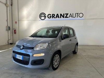 Fiat Panda 1.0 firefly hybrid s&s 70cv 5p.ti (8)
