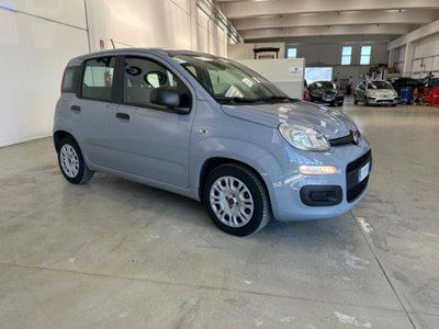 Fiat Panda 1.0 firefly hybrid s&s 70cv 5p.ti (9)