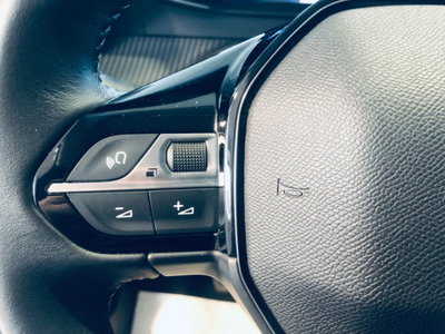 Peugeot 208 PureTech 100 Stop&Start 5 porte Allure (19)