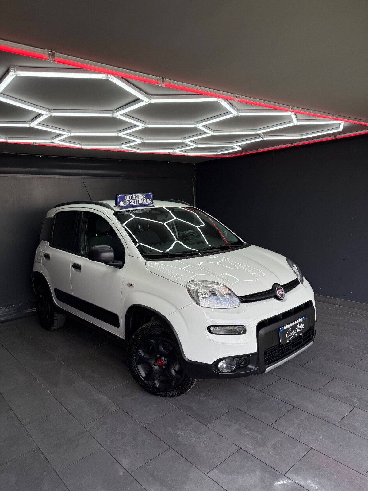 Fiat Panda Cross Cross 0.9 TwinAir Turbo S&S 4x4 (2)
