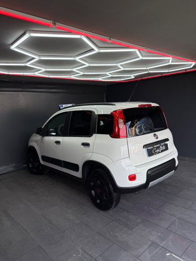 Fiat Panda Cross Cross 0.9 TwinAir Turbo S&S 4x4 (5)