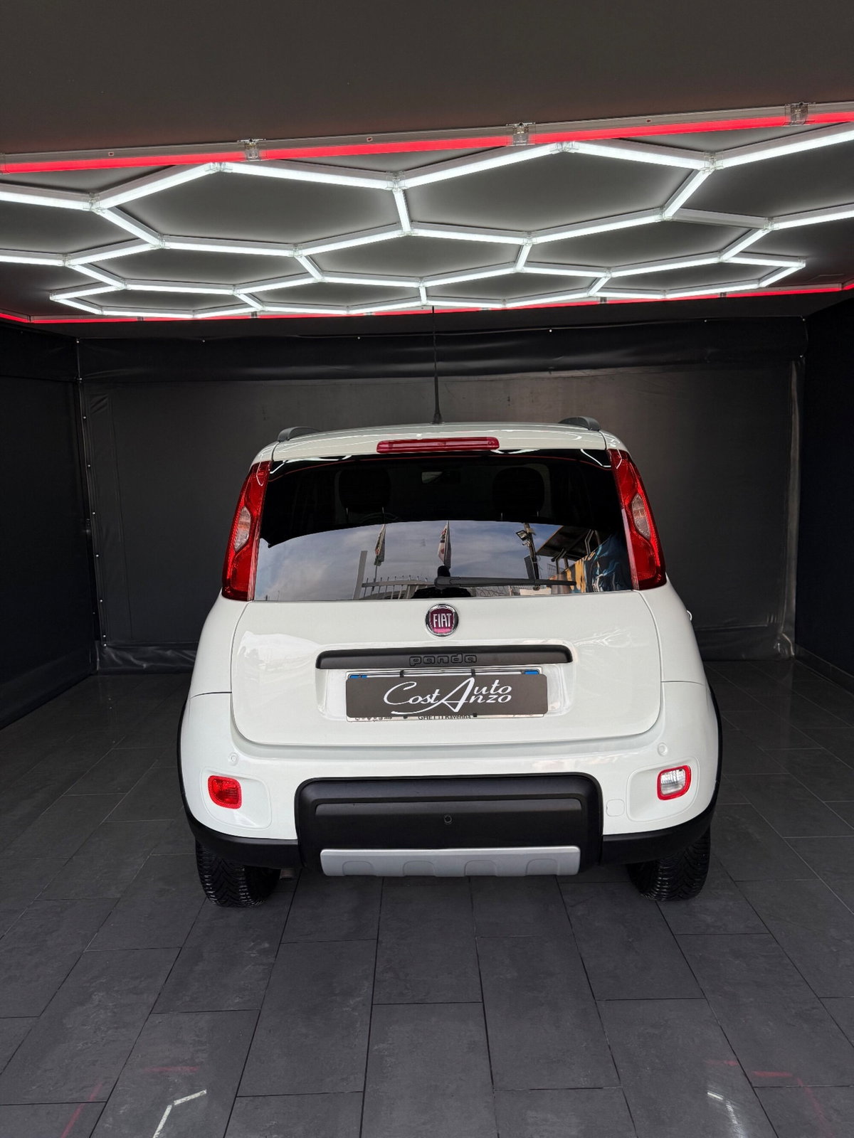 Fiat Panda Cross Cross 0.9 TwinAir Turbo S&S 4x4 (6)