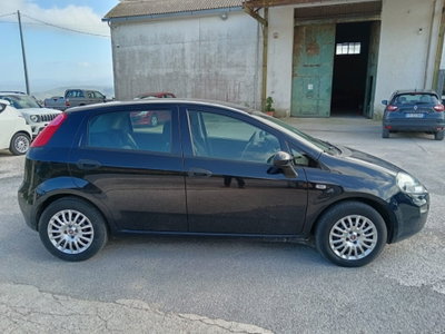 Fiat Punto 1.4 8V 5 porte Easypower Street (9)