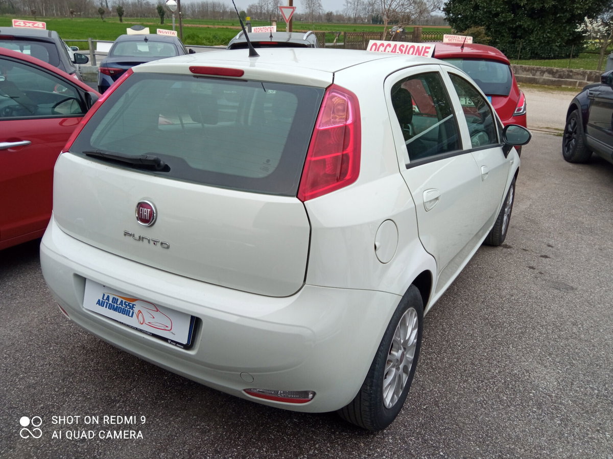Fiat Punto 1.3 MJT 95CV S&S MTA 5 porte Van Easy 4 posti (5)