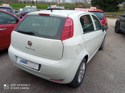 Fiat Punto 1.3 MJT 95CV S&S MTA 5 porte Van Easy 4 posti (5)