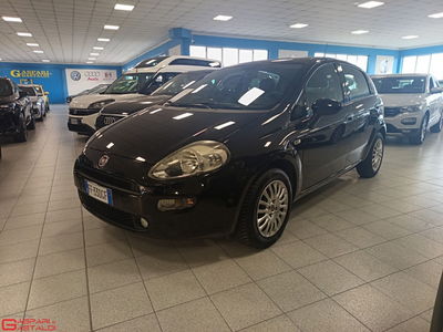 Fiat Punto 1.2 8V 5 porte Street usata