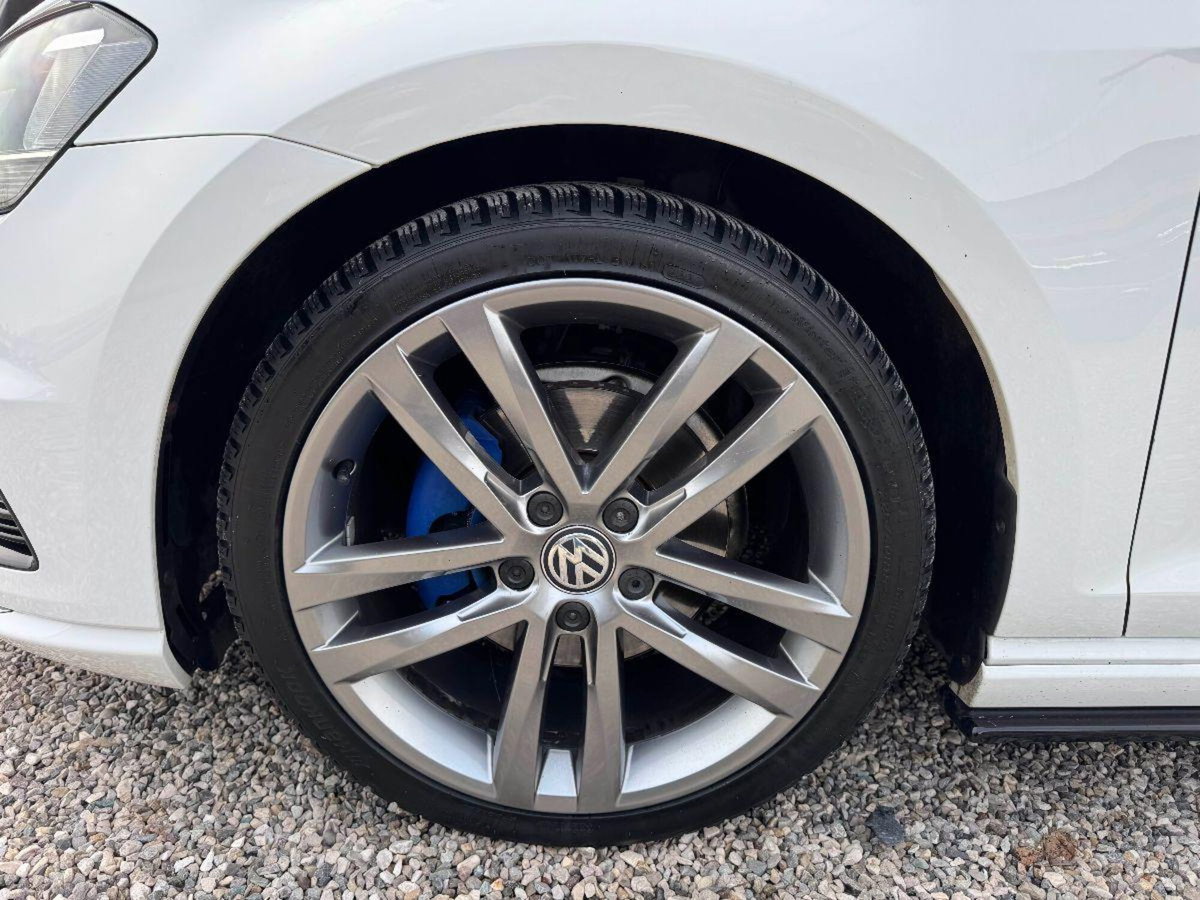 Volkswagen Golf 1.6 TDI 110 CV 5p. Sport Edition BlueMotion Technology (14)