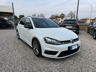 Volkswagen Golf 1.6 TDI 110 CV 5p. Sport Edition BlueMotion Technology (2)