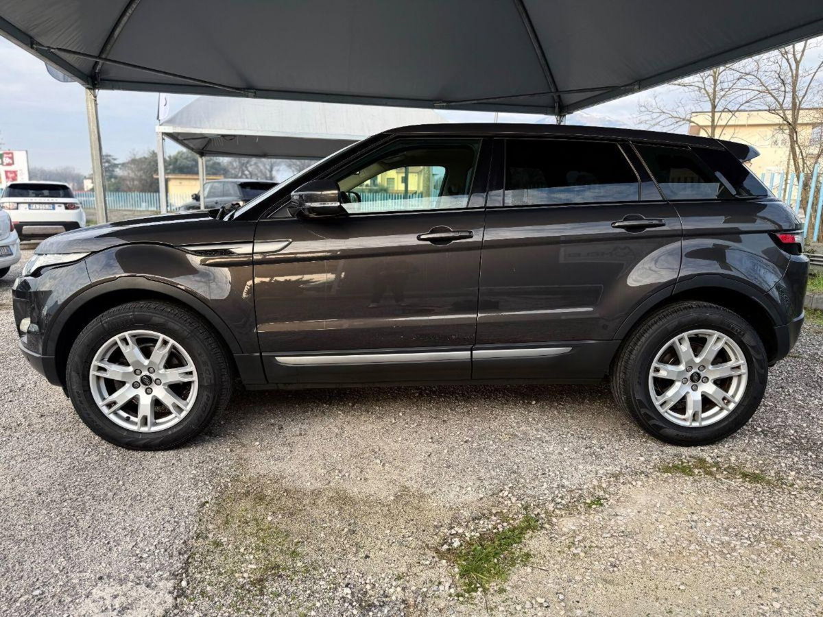 Land Rover Range Rover Evoque 2.2 TD4 5p. Pure Tech Pack (5)