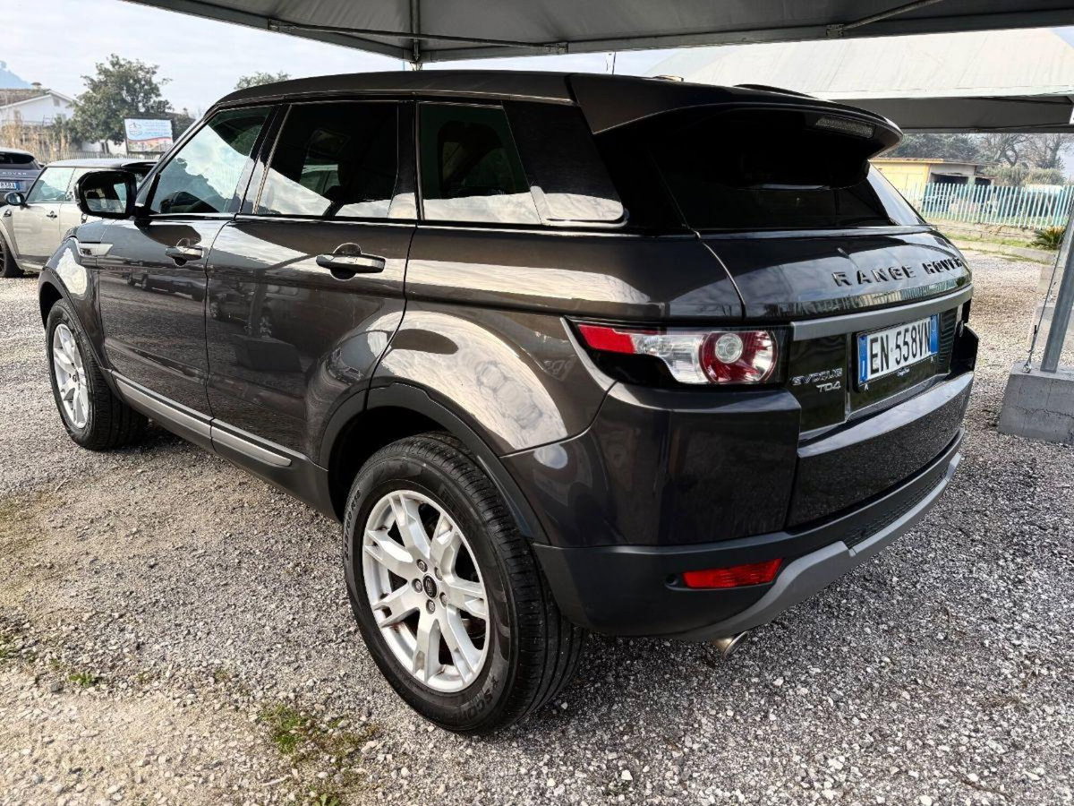 Land Rover Range Rover Evoque 2.2 TD4 5p. Pure Tech Pack (8)