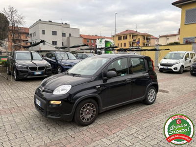 Fiat Panda 1.0 firefly hybrid s&s 70cv 5p.ti usata