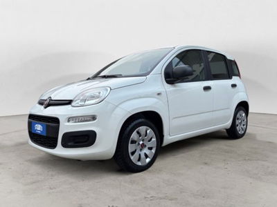 Fiat Panda 1.2 Pop usata