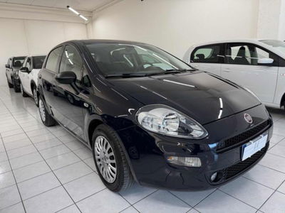 Fiat Punto 1.3 MJT II S&S 95 CV 5 porte Street usata