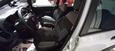 Fiat Panda 1.0 firefly hybrid s&s 70cv usata