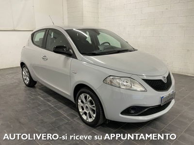 Lancia Ypsilon 1.2 69 CV 5 porte GPL Ecochic Alberta Ferretti usata