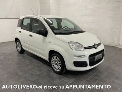 Fiat Panda 1.2 Easy usata