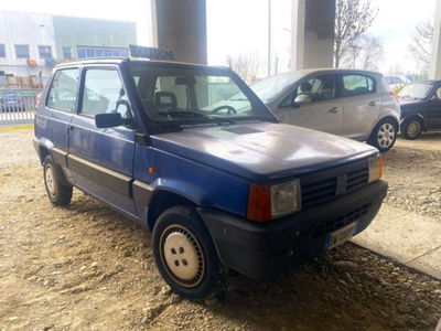 Fiat Panda 1100 i.e. cat Hobby