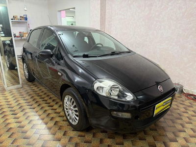 Fiat Punto 1.2 8V 5 porte Lounge usata