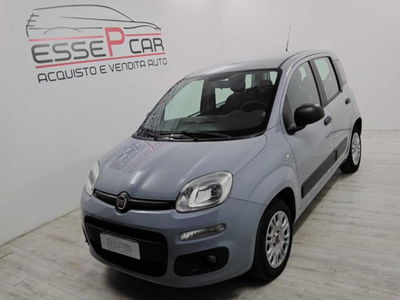 Fiat Panda 1.2 Lounge usata