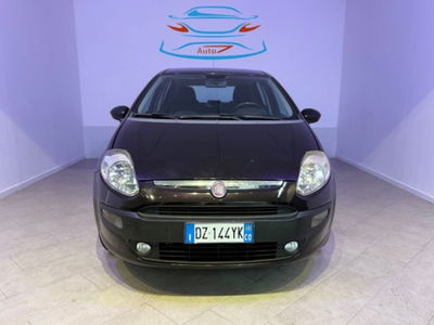 Fiat Punto Evo 1.2 5 porte Dynamic usata
