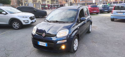 Fiat Panda 1.2 Easy usata
