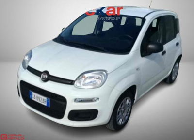 Fiat Panda 1.2 Easy usata
