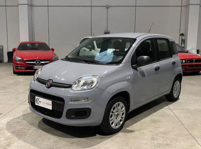 Fiat Panda 1.2 Easy usata
