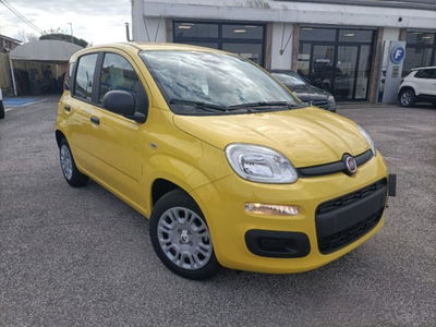 Fiat Panda 1.0 firefly hybrid s&s 70cv 5p.ti nuova