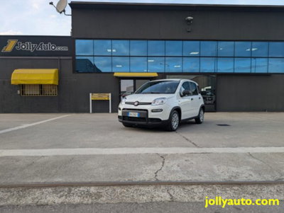 Fiat Panda 1.0 firefly hybrid s&s 70cv 5p.ti (19)