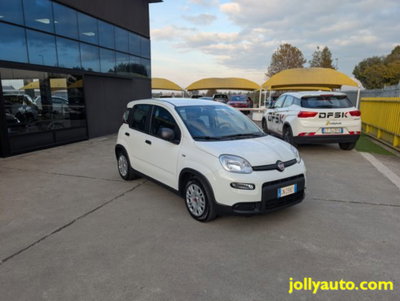Fiat Panda 1.0 firefly hybrid s&s 70cv 5p.ti (3)