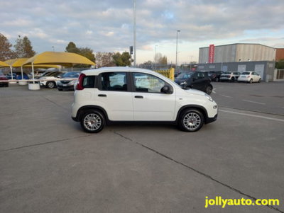 Fiat Panda 1.0 firefly hybrid s&s 70cv 5p.ti (4)