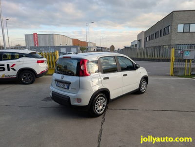 Fiat Panda 1.0 firefly hybrid s&s 70cv 5p.ti (5)