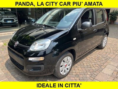 Fiat Panda 1.2 usata