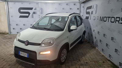 Fiat Panda 1.0 FireFly S&S Hybrid City Cross usata