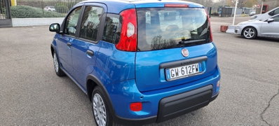 Fiat Panda Cross Cross 1.0 FireFly S&S Hybrid (10)