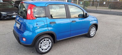 Fiat Panda Cross Cross 1.0 FireFly S&S Hybrid (15)