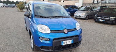 Fiat Panda Cross Cross 1.0 FireFly S&S Hybrid (2)
