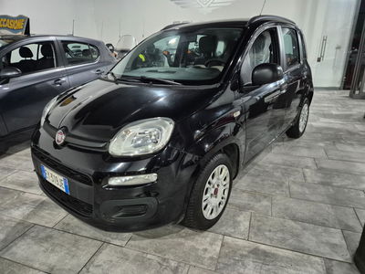 Fiat Panda 1.2 Easy usata