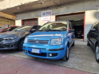 Fiat Panda 1.2 Dynamic usata