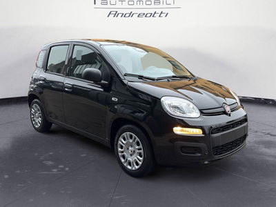 Fiat Pandina 1.0 firefly hybrid Icon s&s 65cv nuova