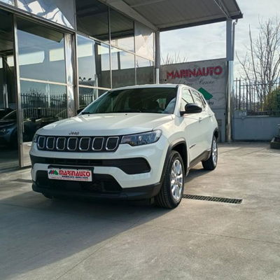 Jeep Compass 1.6 Multijet II 2WD Business usata