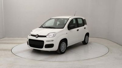 Fiat Pandina 1.0 firefly hybrid s&s 70cv nuova