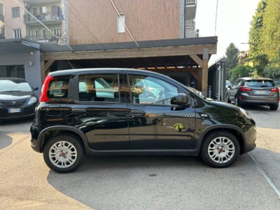 Fiat Panda 1.0 firefly hybrid s&s 70cv 5p.ti (3)