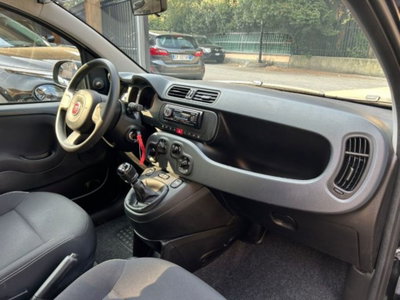 Fiat Panda 1.0 firefly hybrid s&s 70cv 5p.ti (7)