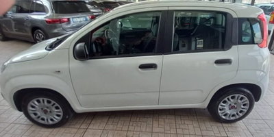 Fiat Panda 1.2 Easy (3)