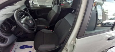 Fiat Panda 1.2 Easy (5)